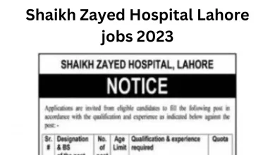 Shaikh Zayed Hospital Lahore jobs 2023
