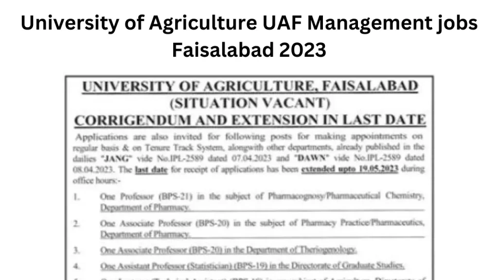 University of Agriculture UAF Management jobs Faisalabad 2023