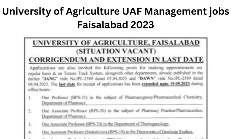 University of Agriculture UAF Management jobs Faisalabad 2023