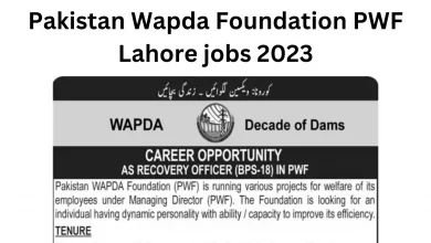 Pakistan Wapda Foundation PWF Lahore jobs 2023