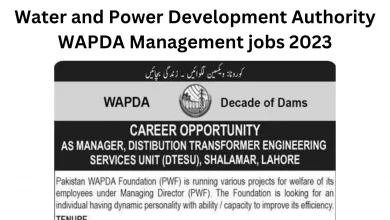 Water and Power Development Authority WAPDA Management jobs 2023