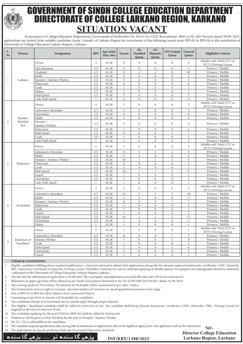 College Education Department Larkana Jobs 2023