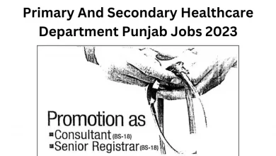 Primary And Secondary Healthcare Department Punjab Jobs 2023