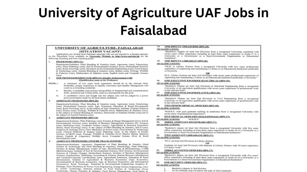 University of Agriculture UAF Jobs in Faisalabad