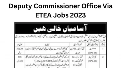 Deputy Commissioner Office Via ETEA Jobs 2023