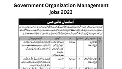 Government Organization Management jobs 2023