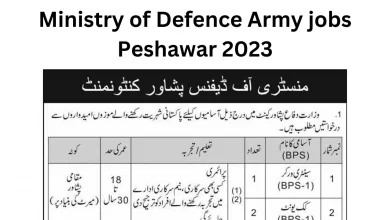 Ministry of Defence Army jobs Peshawar 2023