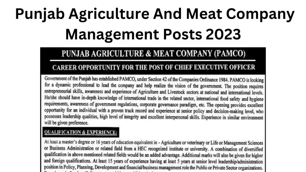 Punjab Agriculture And Meat Company Management Posts 2023