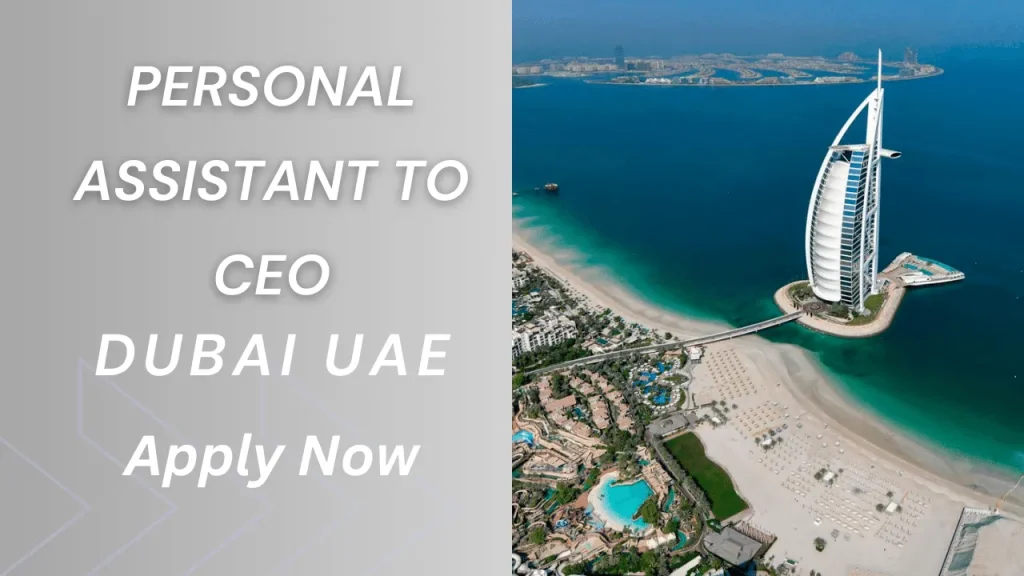 Personal Assistant To CEO Dubai, UAE