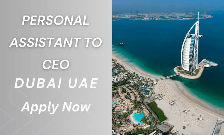 Personal Assistant To CEO Dubai, UAE